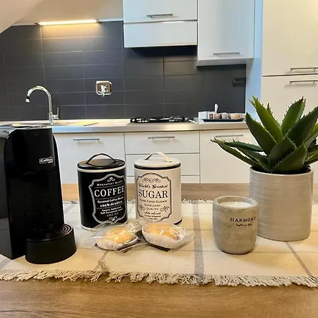 12zero38 サヴィリアーノ